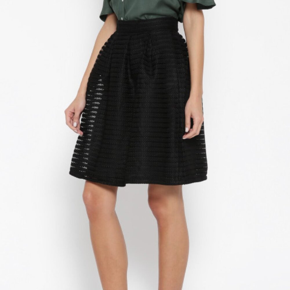 Black Mesh Pleated A-Line Skirt